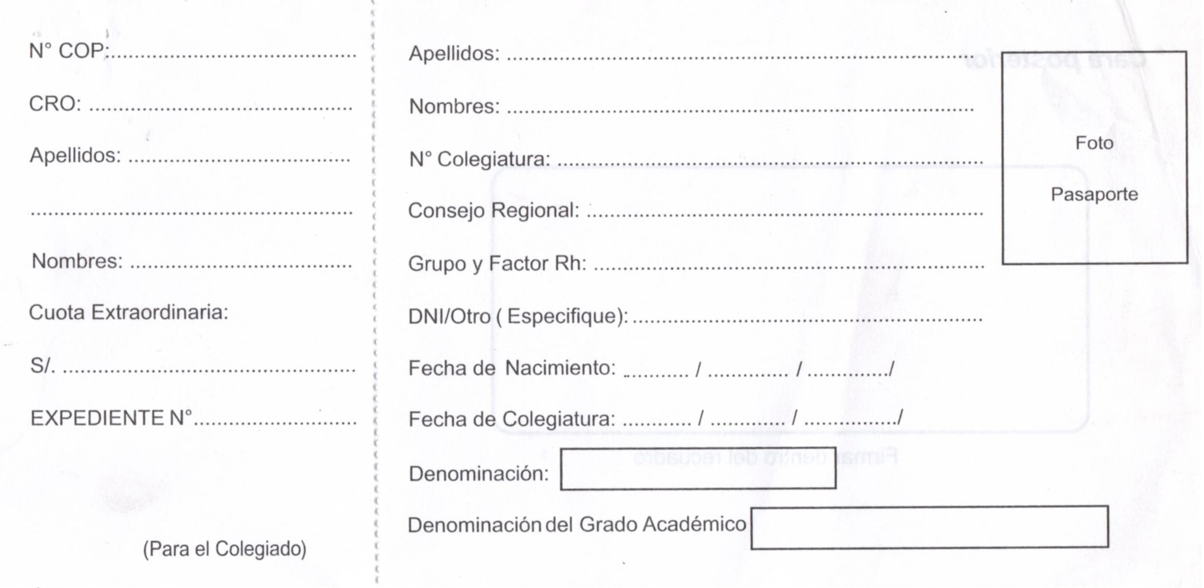 cronograma